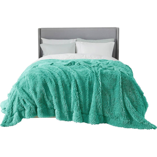 Cozy Bedsure Sherpa Fleece Blanket